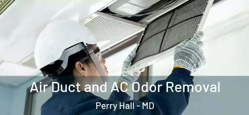 Air Duct and AC Odor Removal Perry Hall - MD