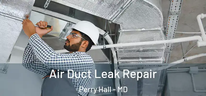 Air Duct Leak Repair Perry Hall - MD