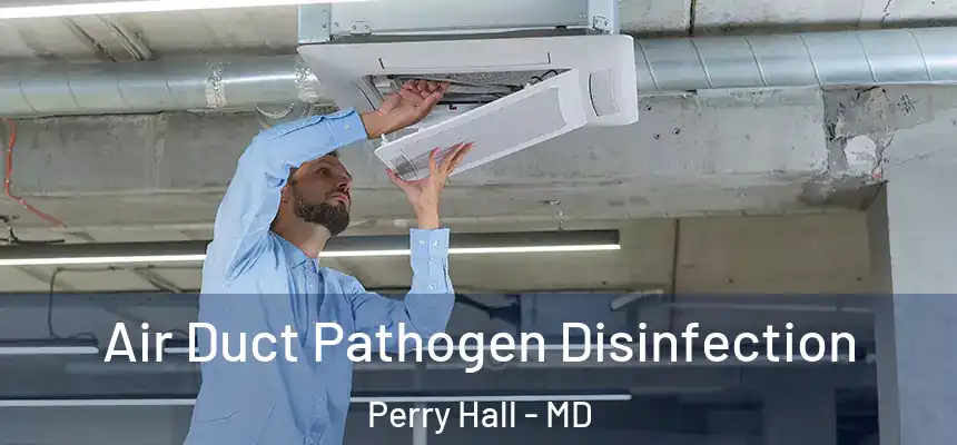 Air Duct Pathogen Disinfection Perry Hall - MD