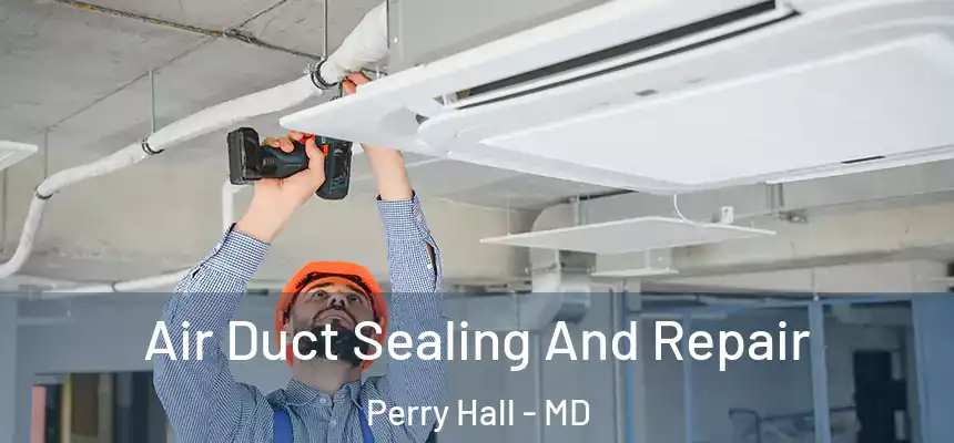  Air Duct Sealing And Repair Perry Hall - MD