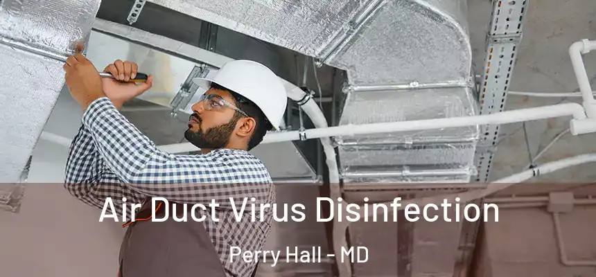 Air Duct Virus Disinfection Perry Hall - MD