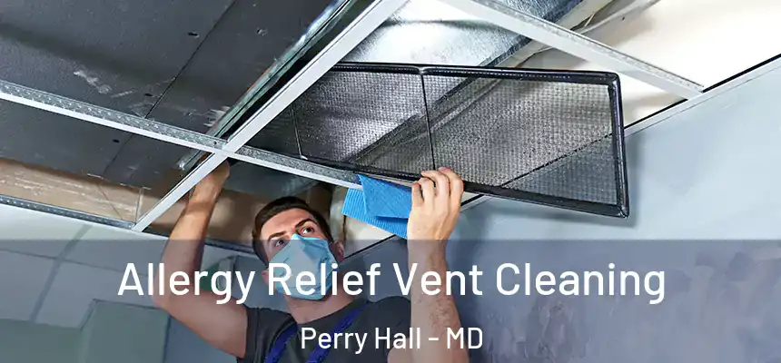 Allergy Relief Vent Cleaning Perry Hall - MD