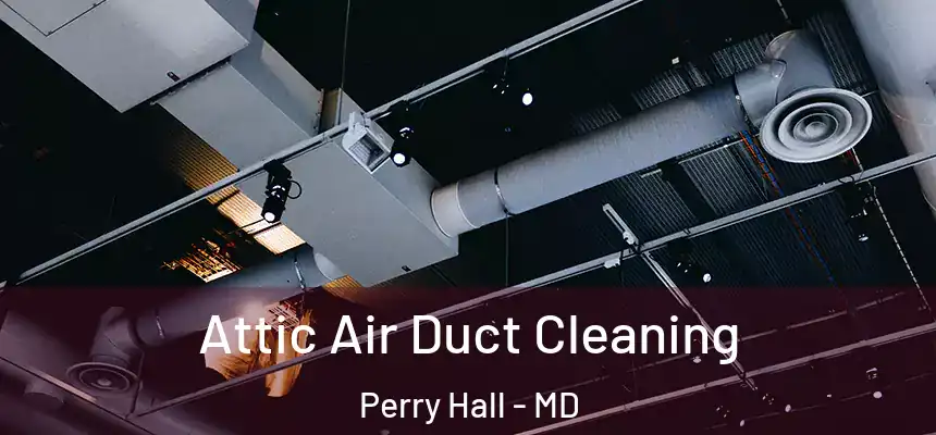 Attic Air Duct Cleaning Perry Hall - MD