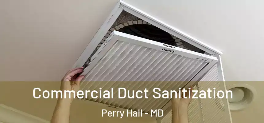 Commercial Duct Sanitization Perry Hall - MD