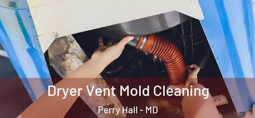 Dryer Vent Mold Cleaning Perry Hall - MD