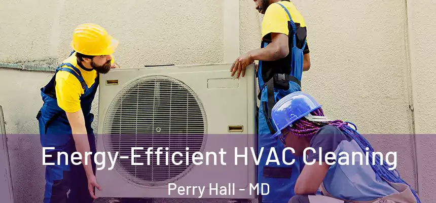 Energy-Efficient HVAC Cleaning Perry Hall - MD