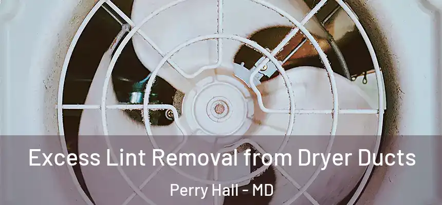  Excess Lint Removal from Dryer Ducts Perry Hall - MD