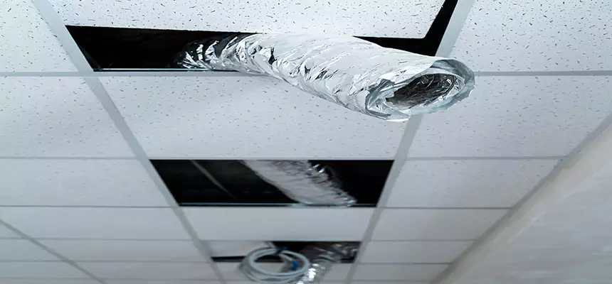 Affordable HVAC Sanitizing After Pest Removal in Perry Hall