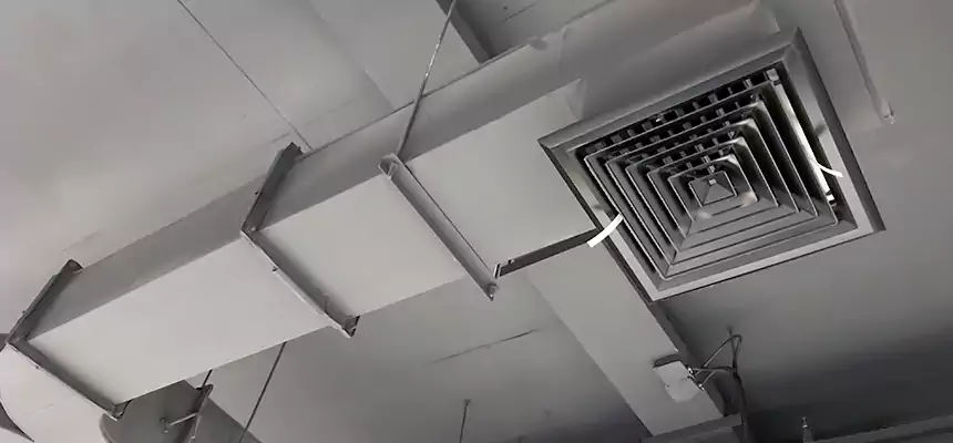 Restorative Allergy Relief Vent Cleaning – Coil, Blower & Housing Detail in Perry Hall