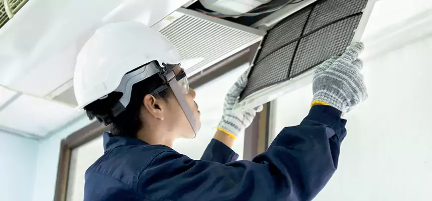 Our Mold & Mildew Removal from Air Ducts Services in Perry Hall, MD