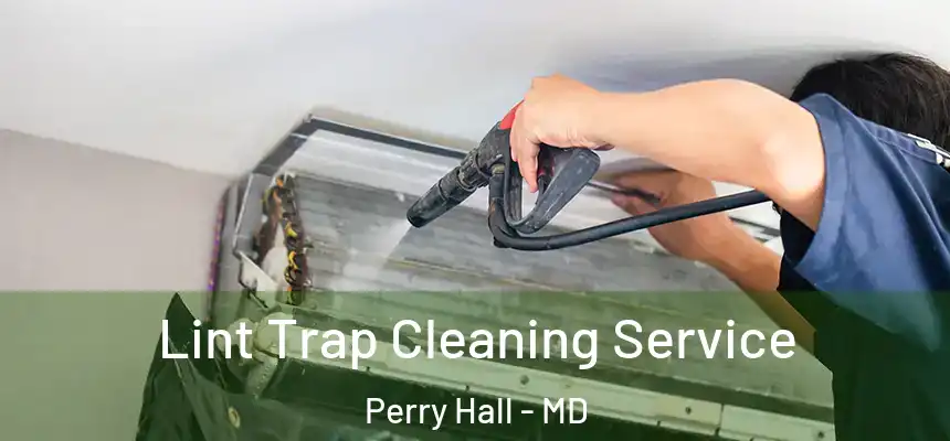 Lint Trap Cleaning Service Perry Hall - MD