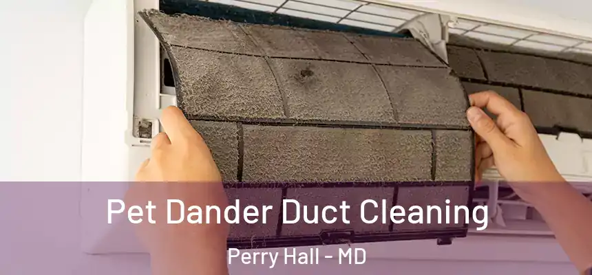 Pet Dander Duct Cleaning Perry Hall - MD
