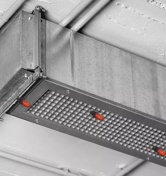 About Air Duct Cockroach Removal in Perry Hall, MD