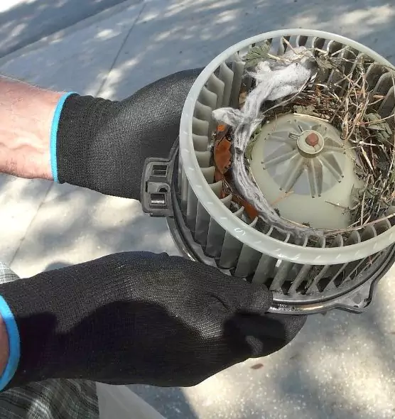 About Air Duct Mice Removal in Perry Hall, MD