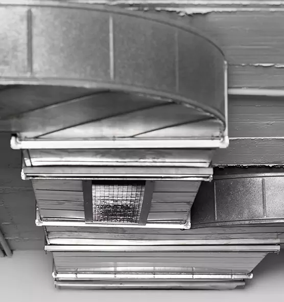 Professional Air Duct Pest Removal in Perry Hall, MD