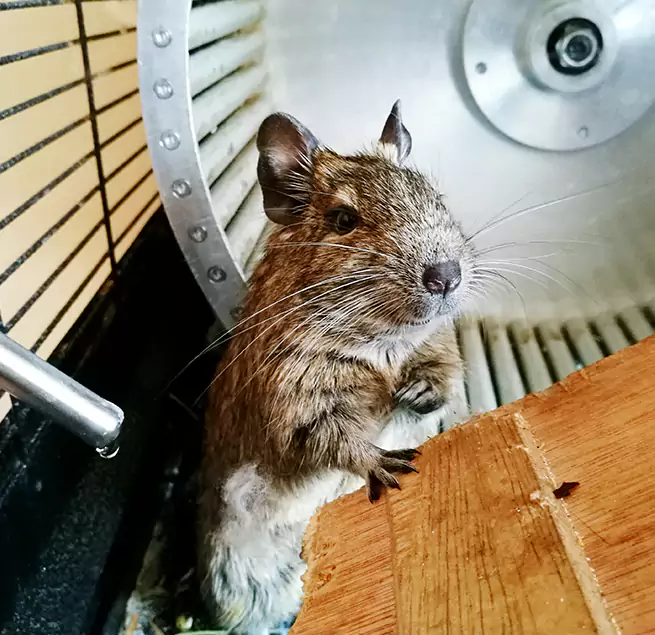 Why Homeowners & Businesses Trust Us Perry Hall, MD?