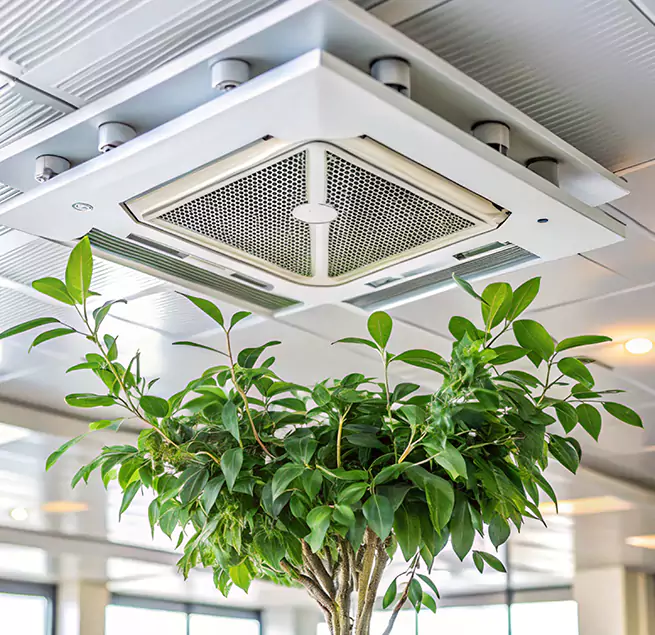 Why Homeowners & Businesses Trust Us in Perry Hall, MD