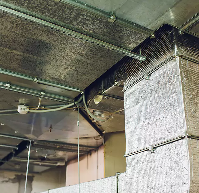 Why Homeowners & Businesses Trust Us in Perry Hall, MD?