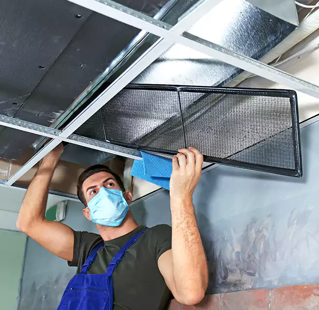 Why Homeowners Businesses Trust Us in Perry Hall, MD