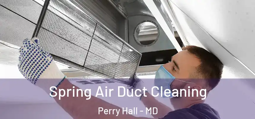 Spring Air Duct Cleaning Perry Hall - MD