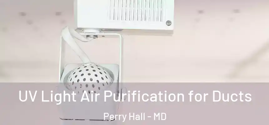  UV Light Air Purification for Ducts Perry Hall - MD