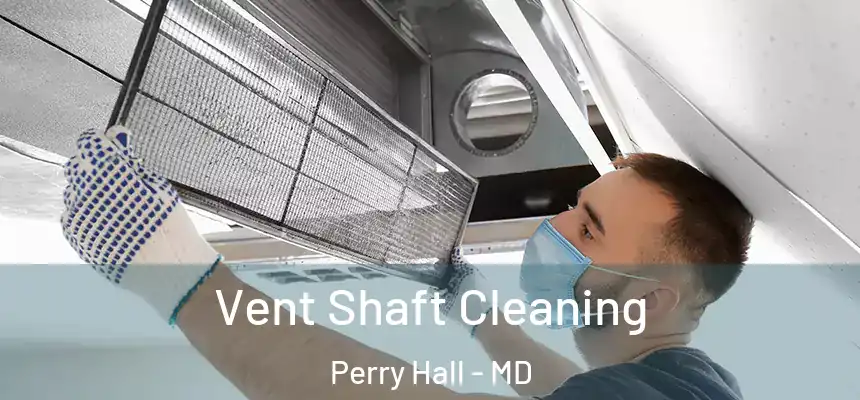 Vent Shaft Cleaning Perry Hall - MD