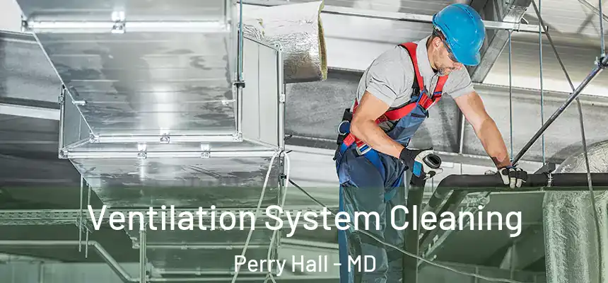  Ventilation System Cleaning Perry Hall - MD